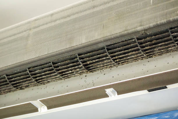 Best HVAC Duct Inspection Services  in Olympia, WA